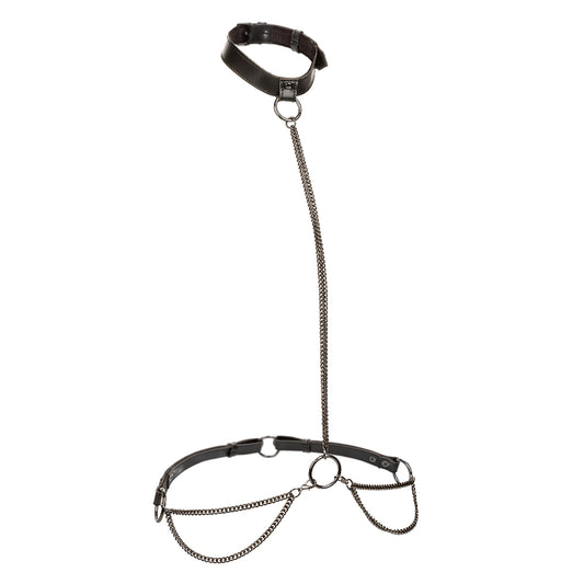 Euphoria Collection Chain Halter/Collar and Leash